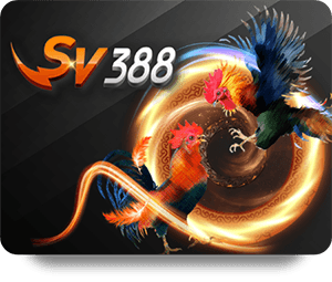 KUWIN Bet Online: Những Điều Cần Biết Trước Khi Bắt Đầu